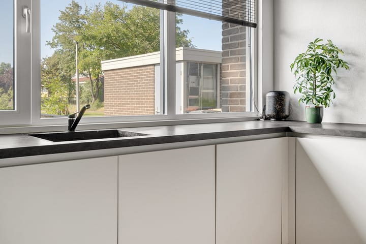 Foto 19 van Borggrevelanden 38