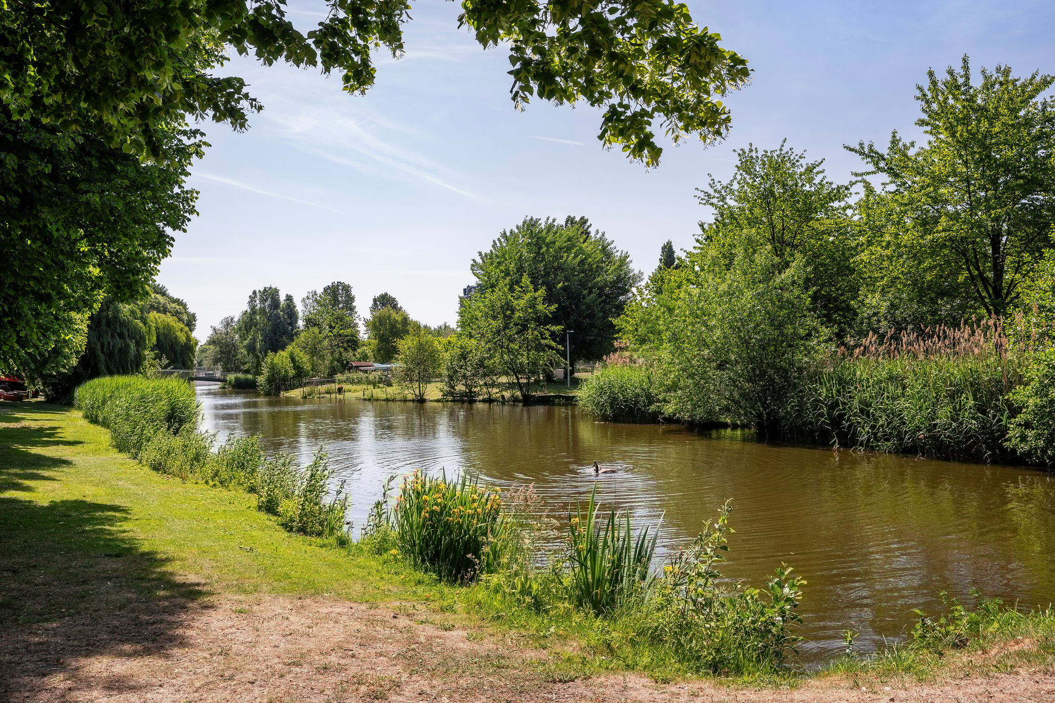 Photo 30 of Frank van Borselenstraat 29-B