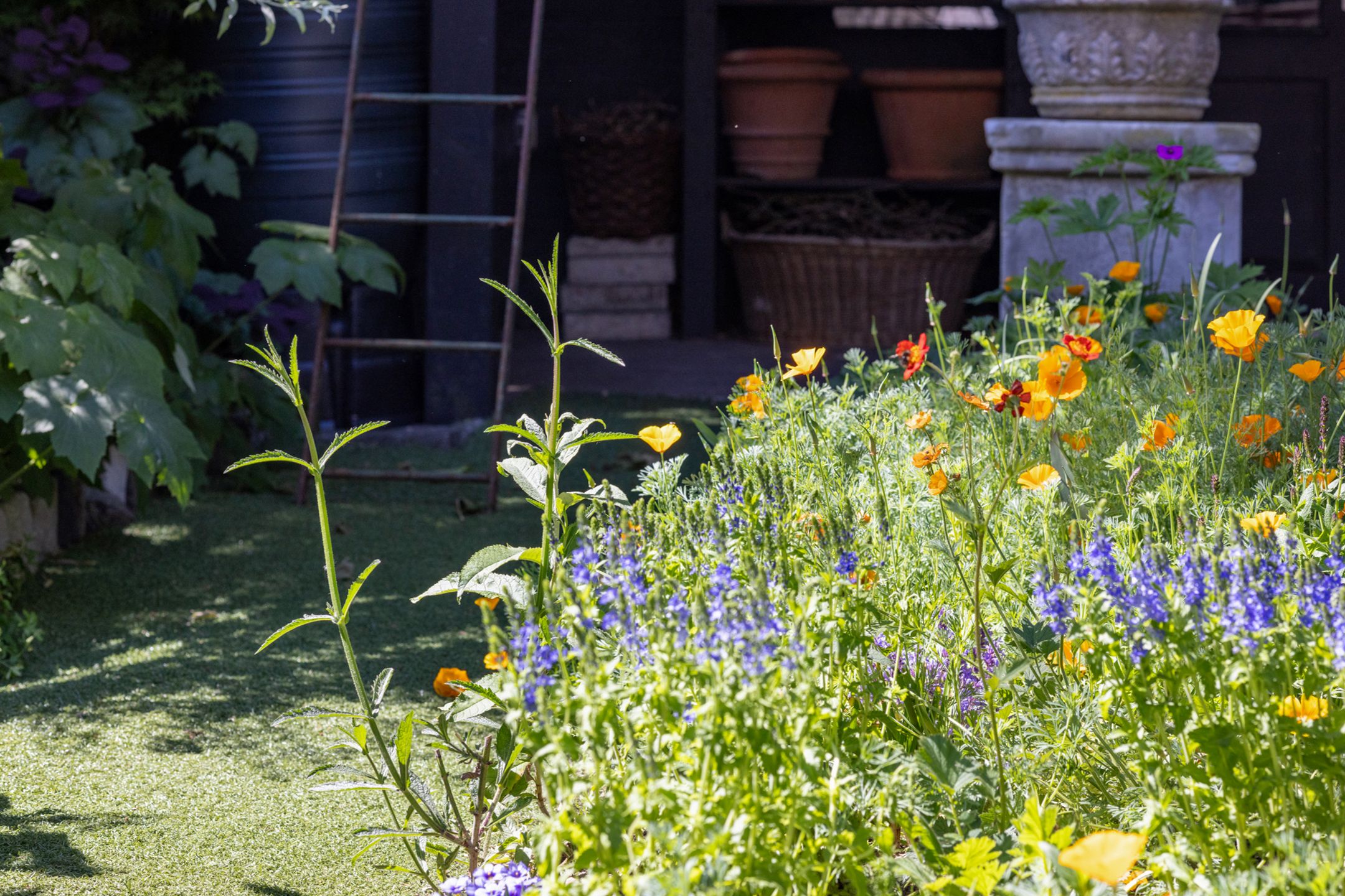 Foto 24 van Voorschoterlaan 53