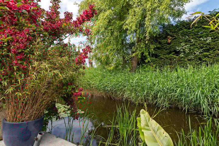 Photo 39 of Delving 68