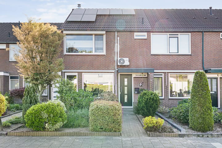 Foto 1 van Kleine Beer 21