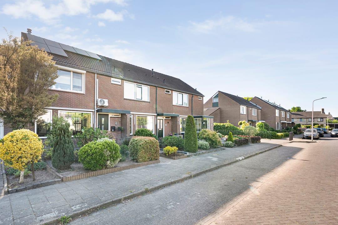 Foto 2 van Kleine Beer 21