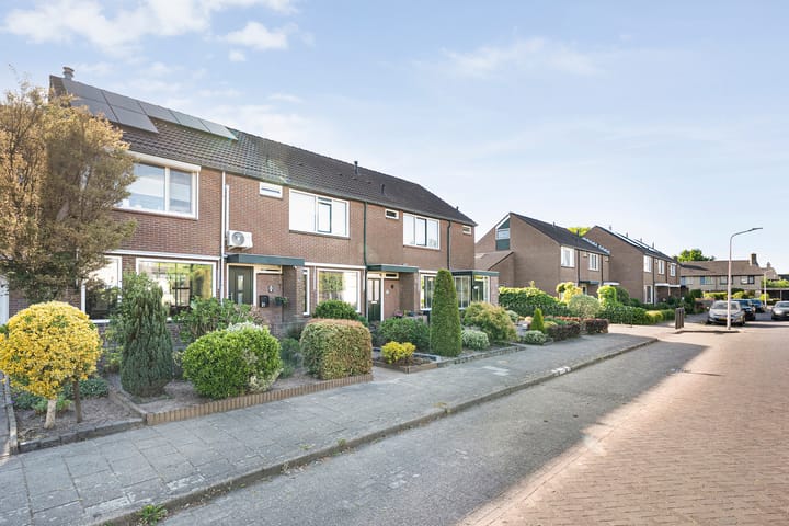 Foto 2 van Kleine Beer 21