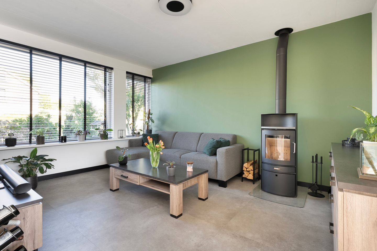 Foto 10 van Kleine Beer 21