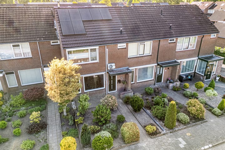 Foto 36 van Kleine Beer 21