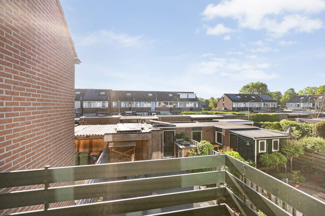 Foto 38 van Kleine Beer 21