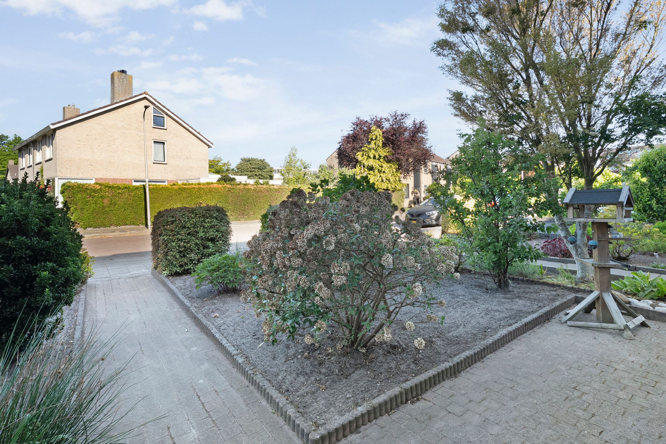 Foto 45 van Kleine Beer 21