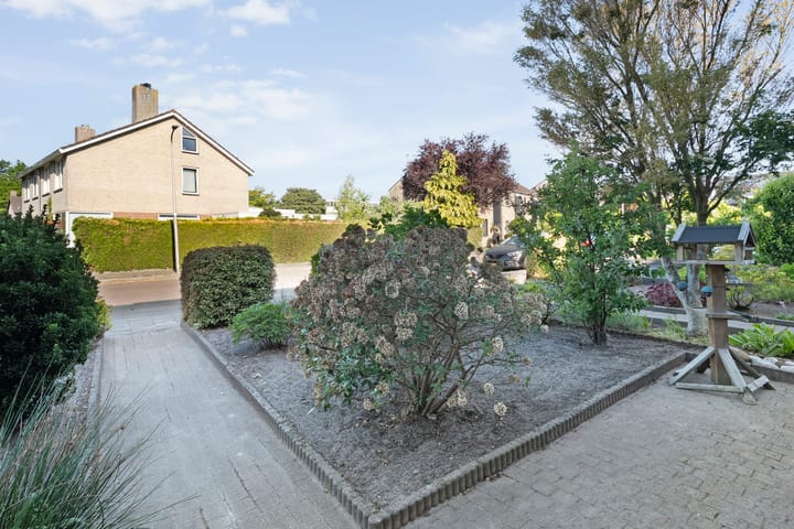 Foto 45 van Kleine Beer 21