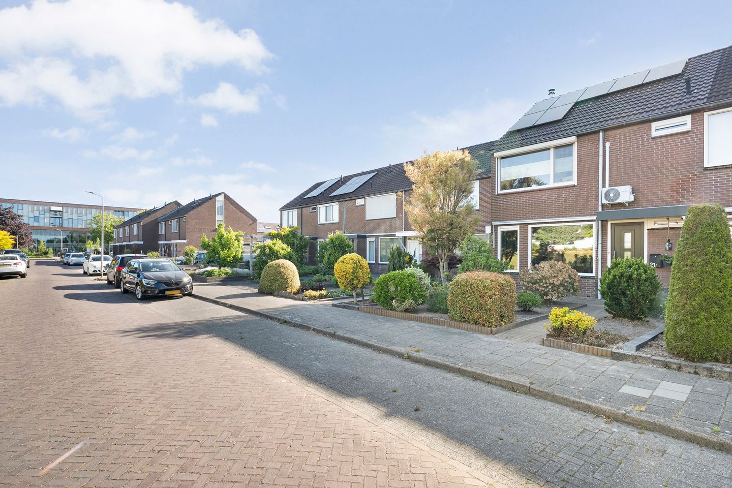 Foto 50 van Kleine Beer 21