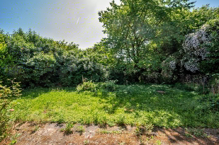 Foto 40 van Tiberiuslaan 3