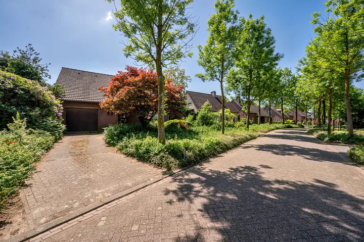 Foto 44 van Tiberiuslaan 3