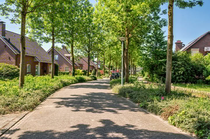 Foto 45 van Tiberiuslaan 3