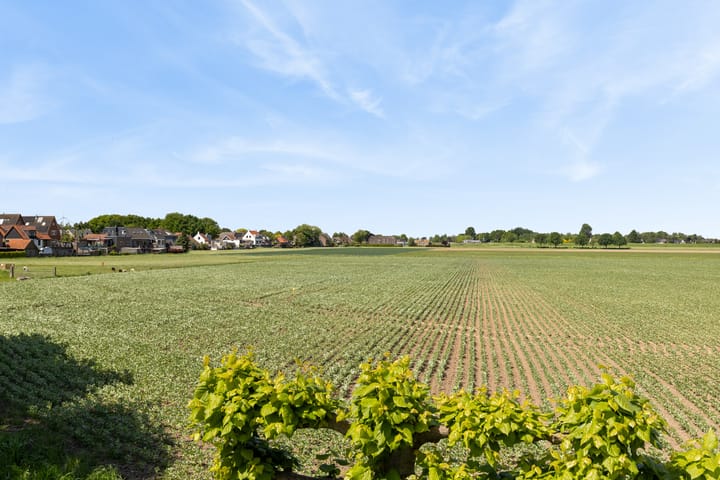 Foto 61 van Brugdam 7