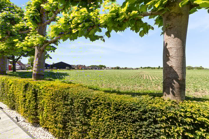 Foto 68 van Brugdam 7