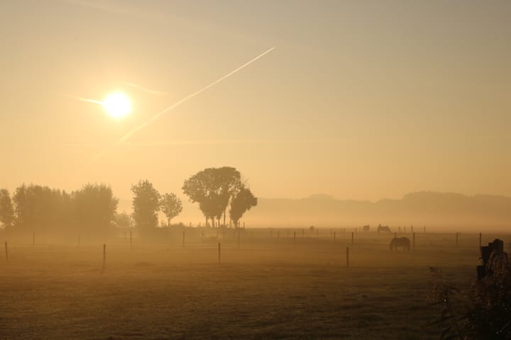 Foto 82 van Brugdam 7