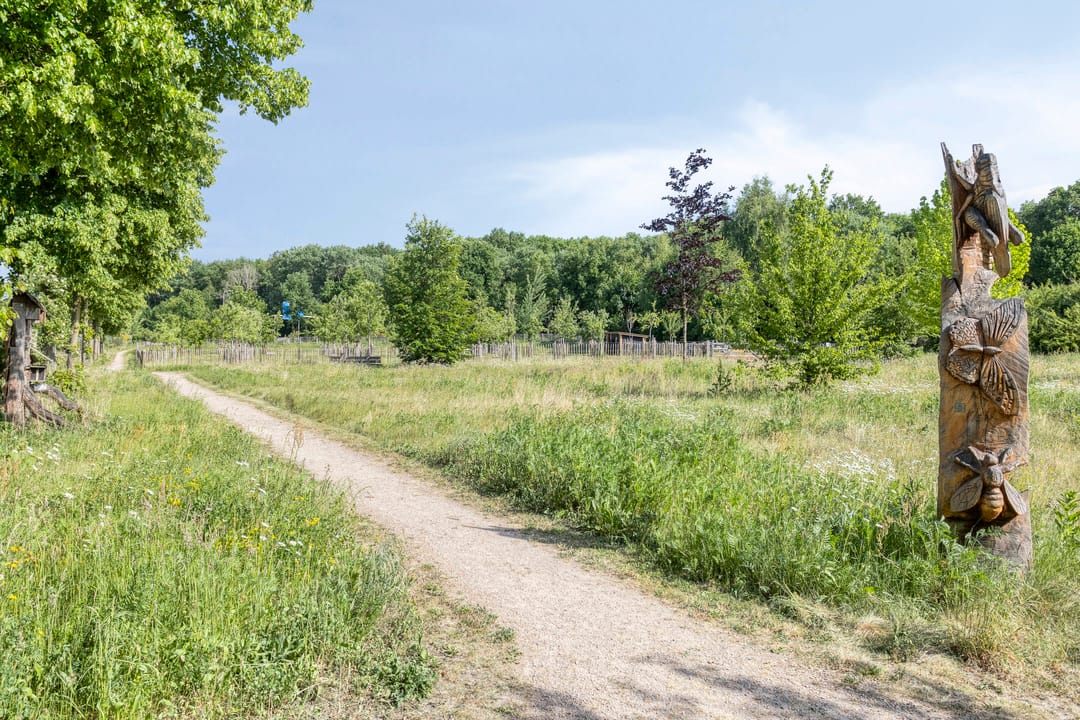 Foto 53 van Ascetenstraat 18