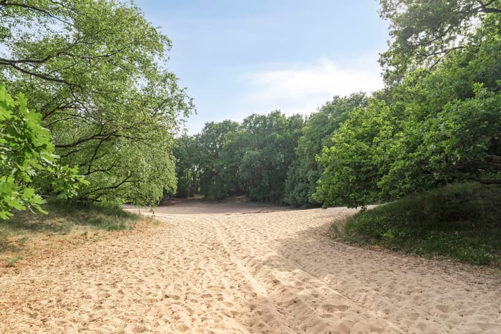 Photo 29 of C.L. Bressersstraat 16