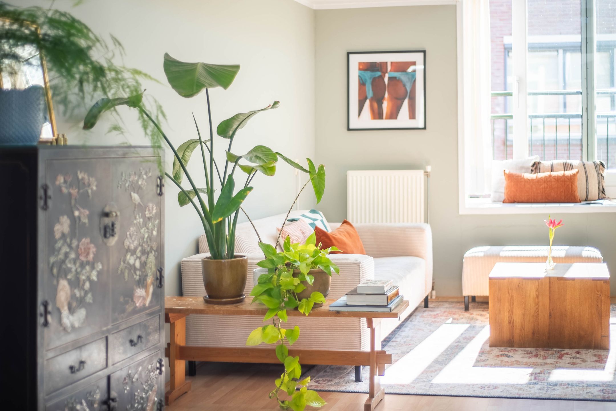 Photo 6 of Melkpad 5