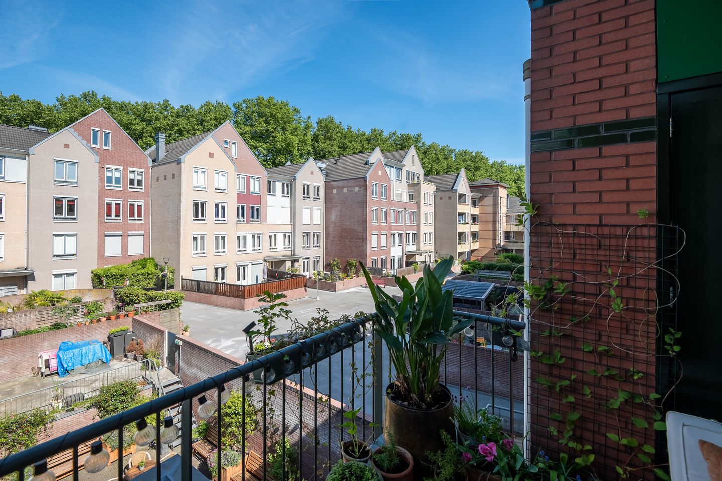 Photo 14 of Melkpad 5