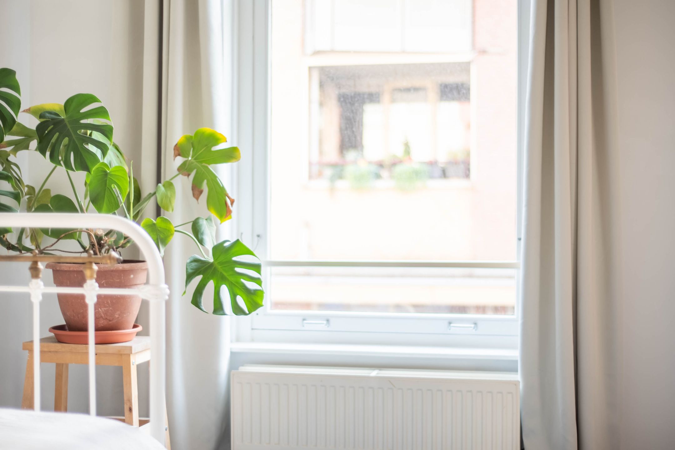 Photo 18 of Melkpad 5