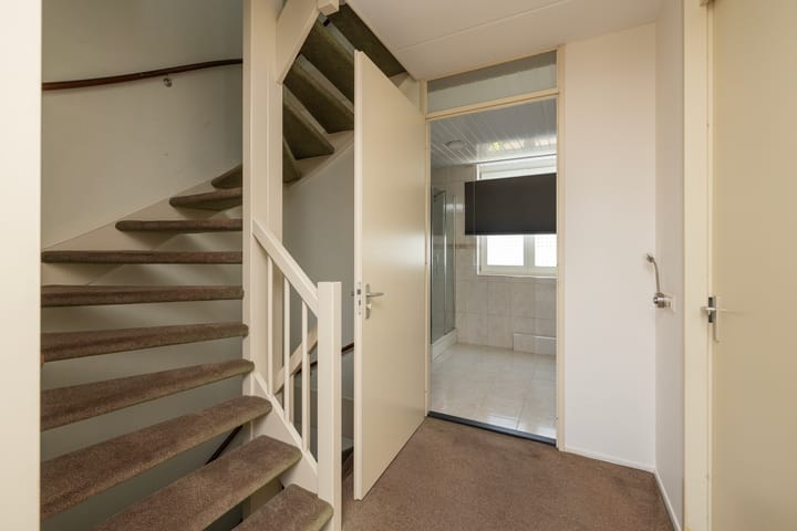 Photo 23 of Fossa 11