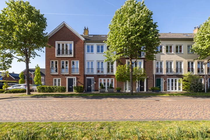 Photo 31 of Fossa 11