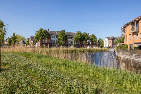 Fossa 11 secondary image