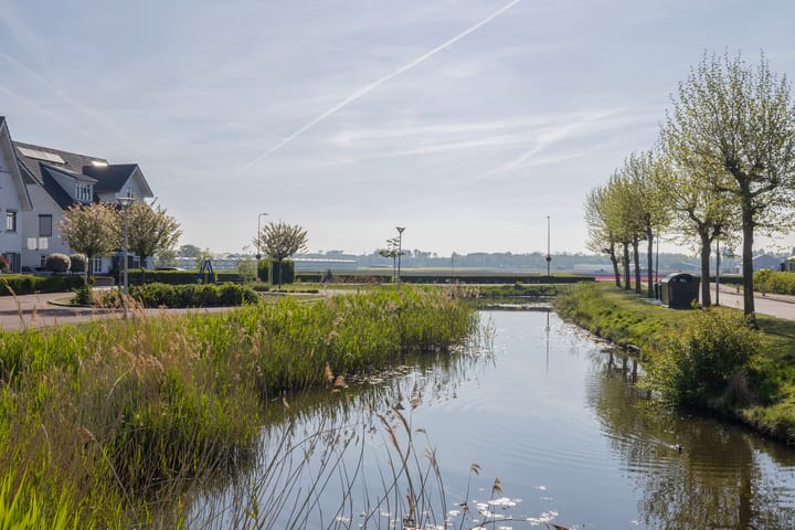 Photo 35 of Fossa 11