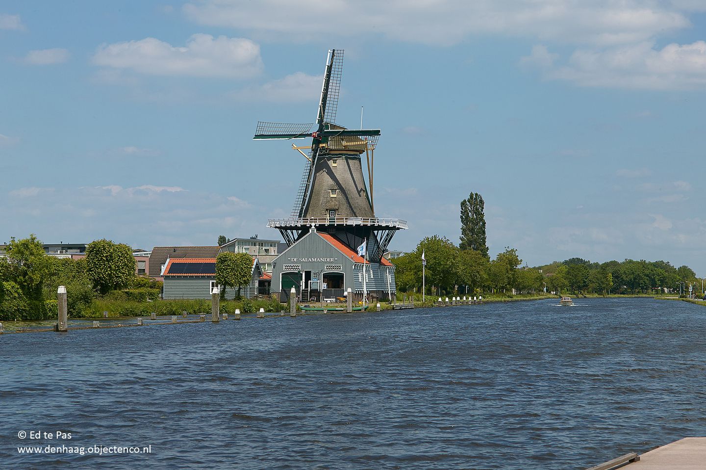 Foto 44 van Venestraat 15