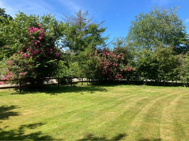 Foto 41 van Gruttolaan 214