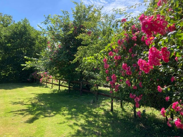 Photo 43 of Gruttolaan 214