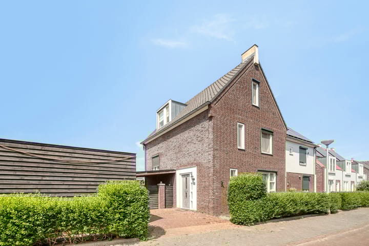 undefined main image