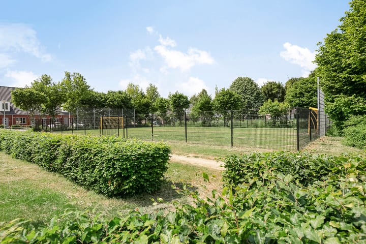 Foto 33 van Waterkers 26