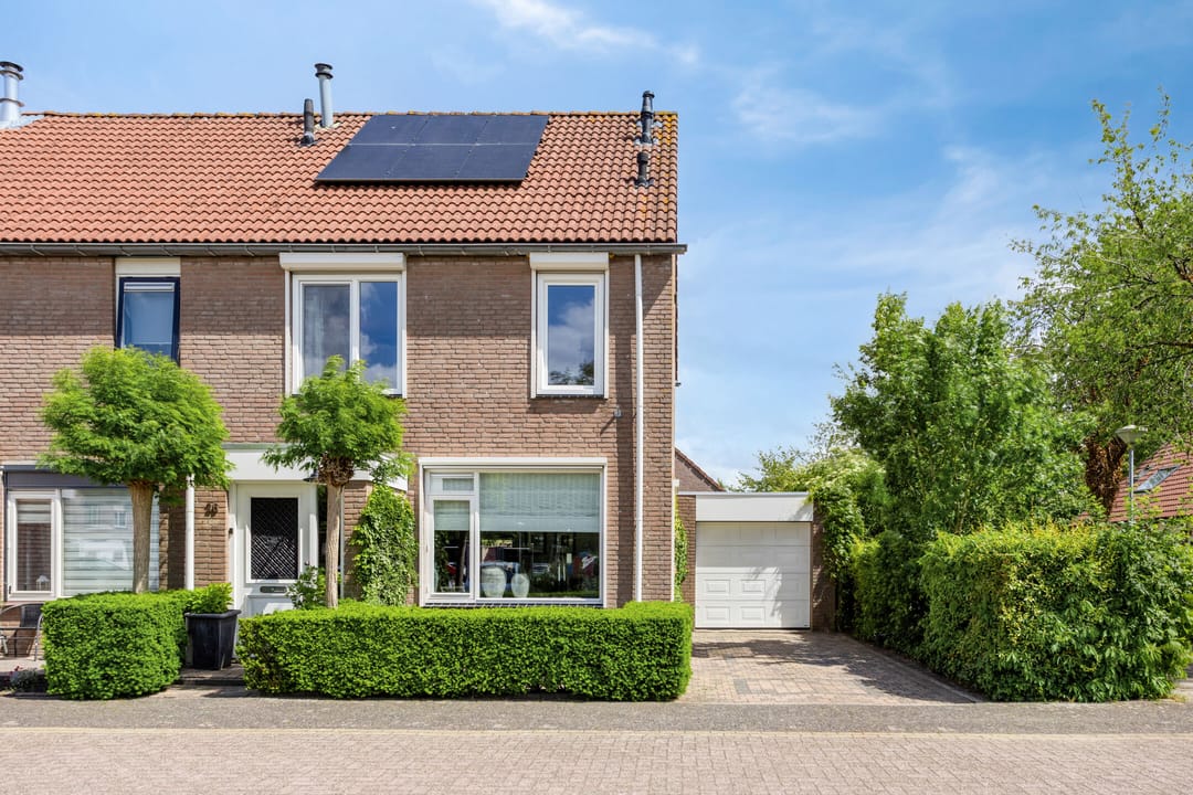 Foto 2 van Pijlkruid 26