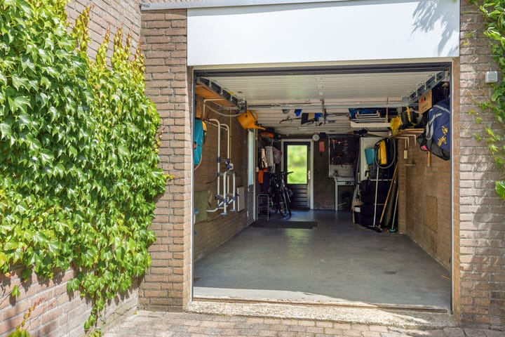 Foto 4 van Pijlkruid 26