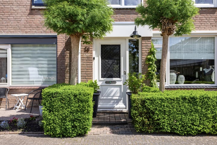 Foto 5 van Pijlkruid 26