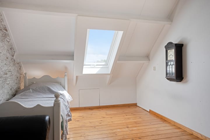 Foto 26 van Pijlkruid 26