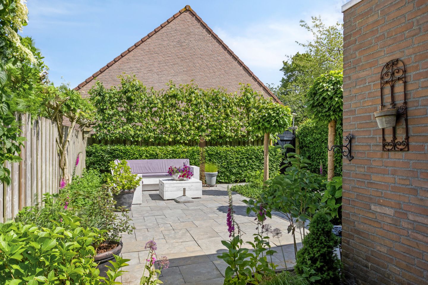 Foto 29 van Pijlkruid 26