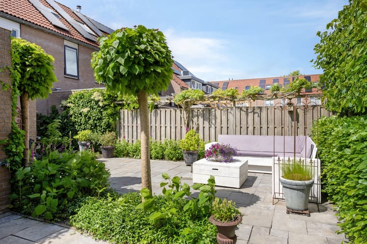 Foto 30 van Pijlkruid 26