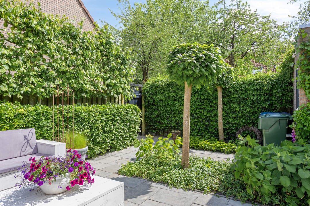 Foto 31 van Pijlkruid 26