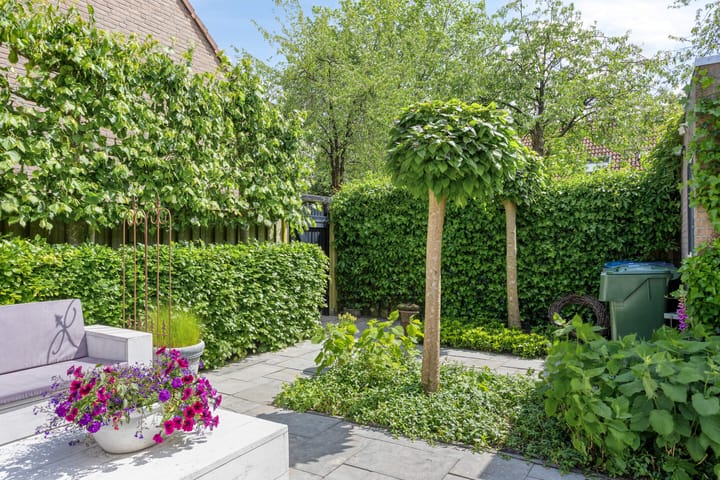 Foto 31 van Pijlkruid 26