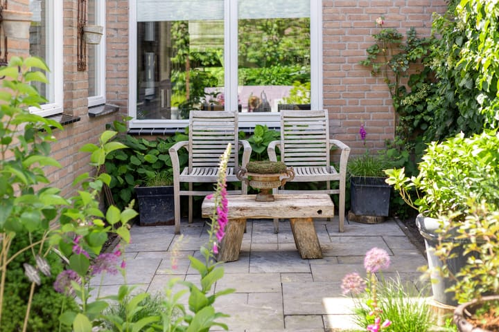 Foto 32 van Pijlkruid 26