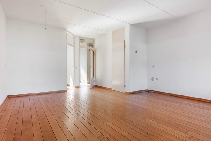 Foto 3 van Hoogmeer 2021