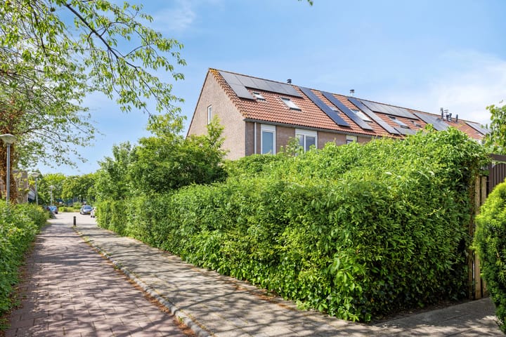 Foto 36 van Pijlkruid 26