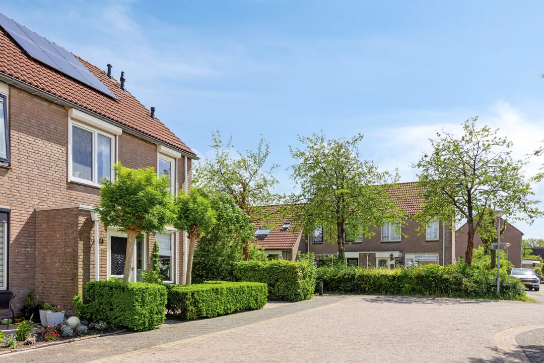 Foto 38 van Pijlkruid 26