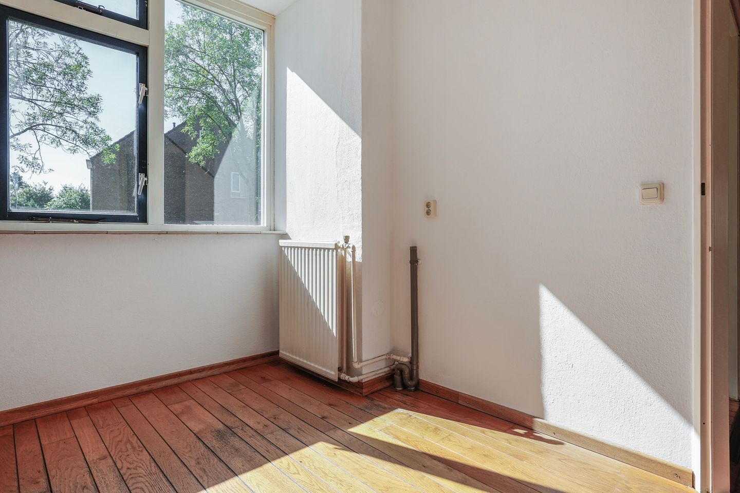 Foto 5 van Hoogmeer 2021