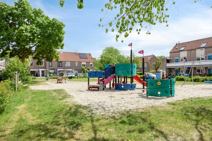 Foto 40 van Pijlkruid 26