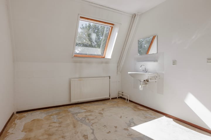 Foto 9 van Hoogmeer 2021