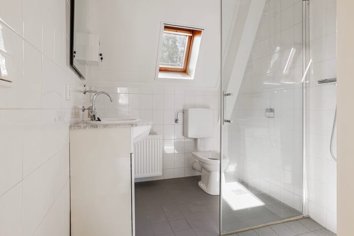 Foto 10 van Hoogmeer 2021