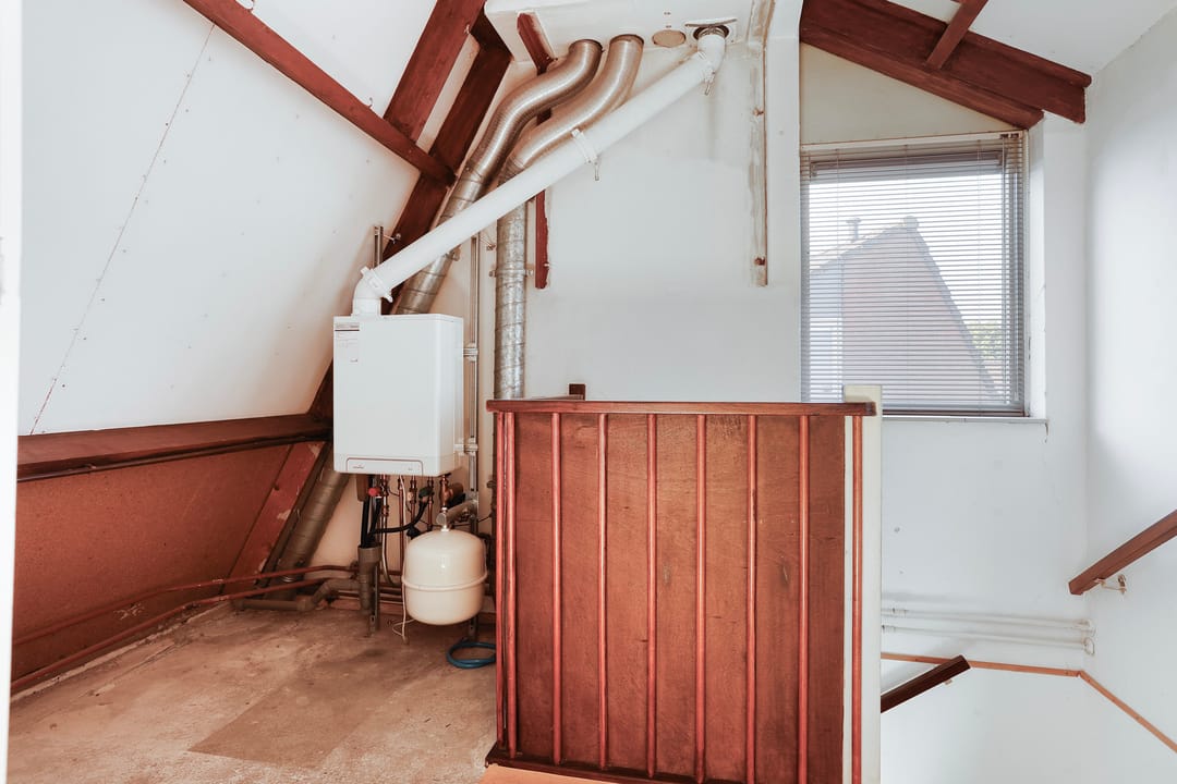 Foto 13 van Hoogmeer 2021